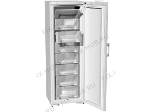Холодильник Gorenje F61300DW (224663, ZOS3167C) - Фото